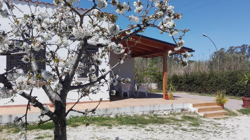 B&B Arcafelice Termoli Extérieur photo